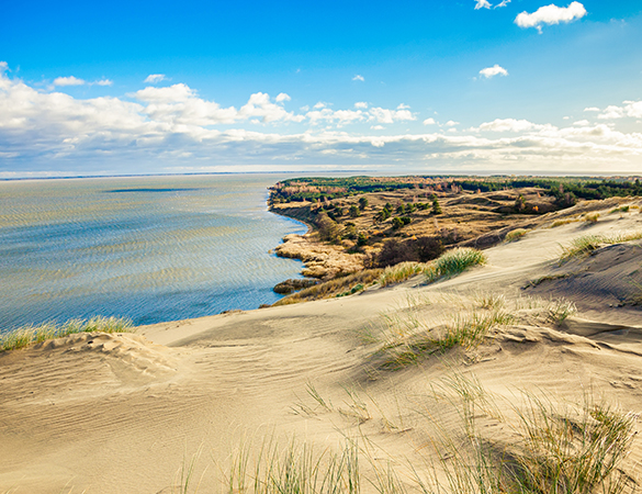 Meer