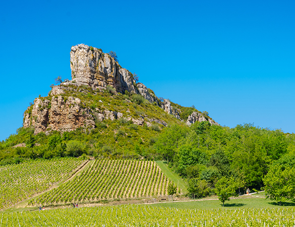 Wein