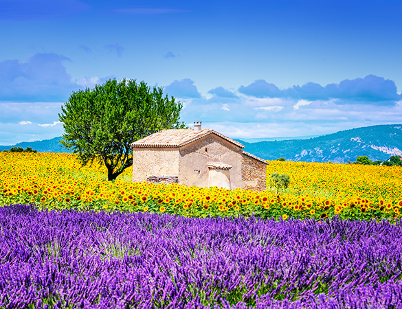 Frankreich