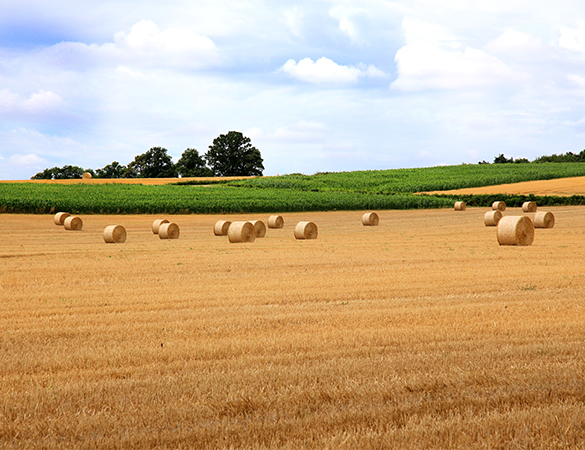Moser Reisen - Normandie und Bretagne