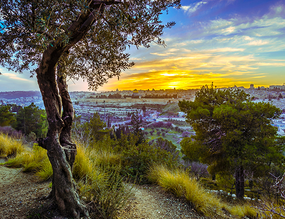 Jerusalem