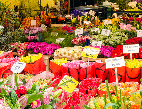 Blumen