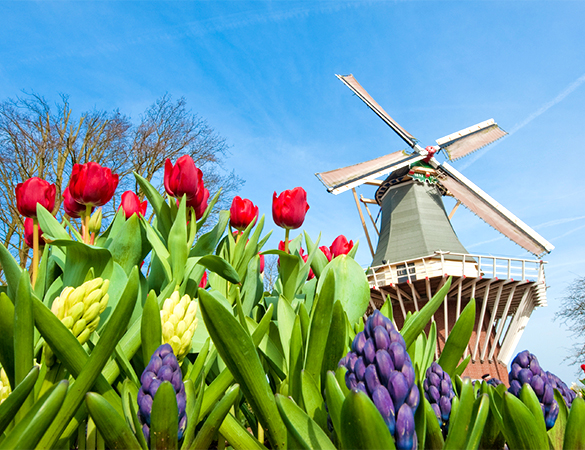 Windmühle