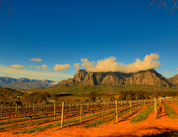 Stellenbosch