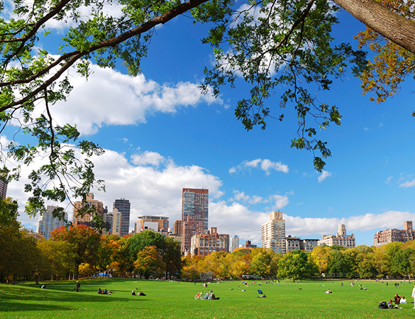 New York